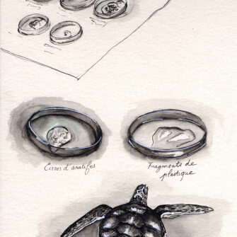 Analyse Tortue